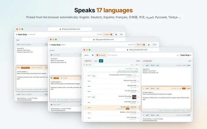17 languages